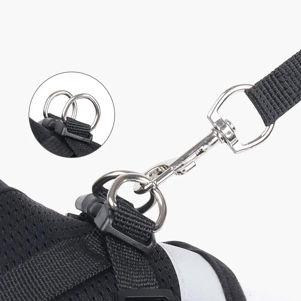 Pawsome™ Adjustable Reflective Pet Harness & Leash Set 