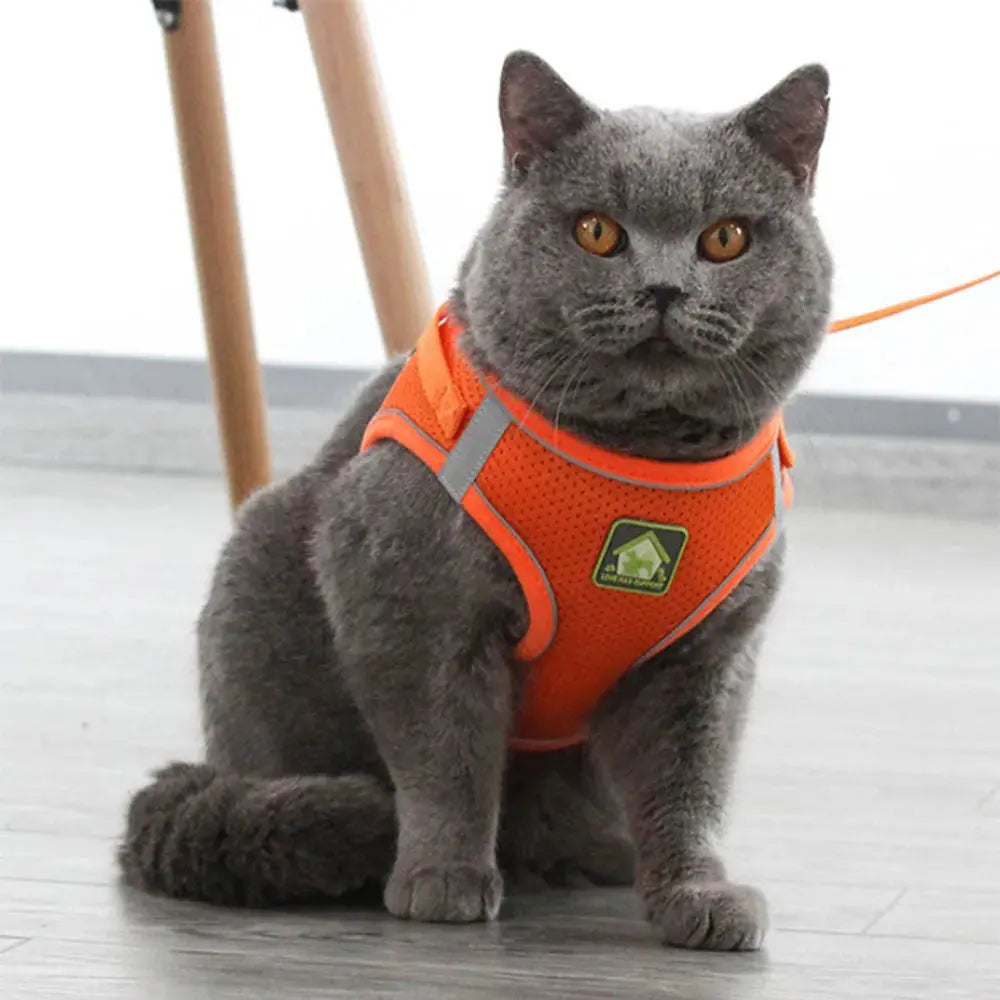 Pawsome™ Adjustable Reflective Pet Harness & Leash Set 