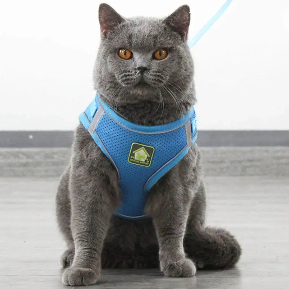 Pawsome™ Adjustable Reflective Pet Harness & Leash Set 