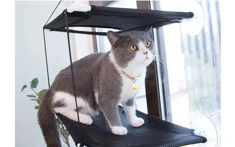 Pawsome™ Elevated Cat Hammock 