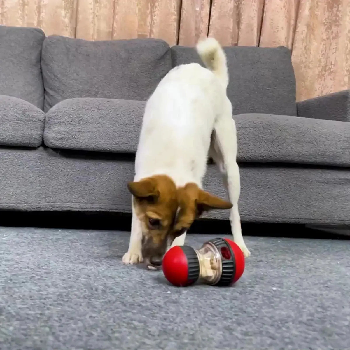 Pawsome™ IQ-Boosting Treat Ball Toy 