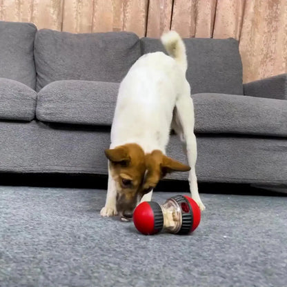 Pawsome™ IQ-Boosting Treat Ball Toy 