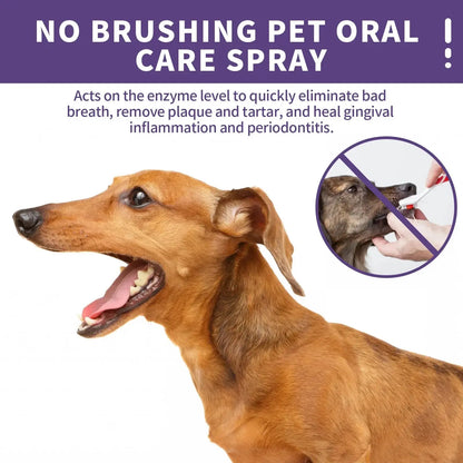 Pawsome™ Oral Purity Spray 