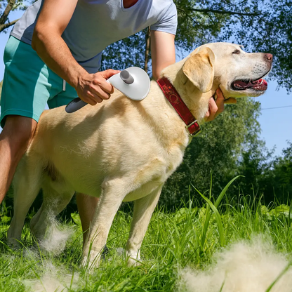 Pawsome™ Self-Cleaning Grooming Brush 