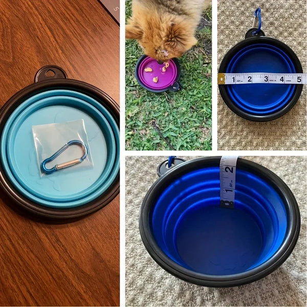 Pet Adventure Bowl