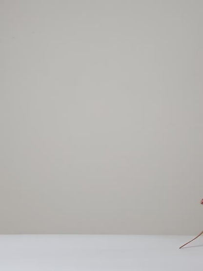 Veloria™ Winged Cotton Tote