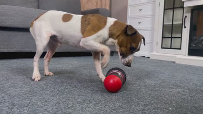Pawsome™ IQ-Boosting Treat Ball Toy